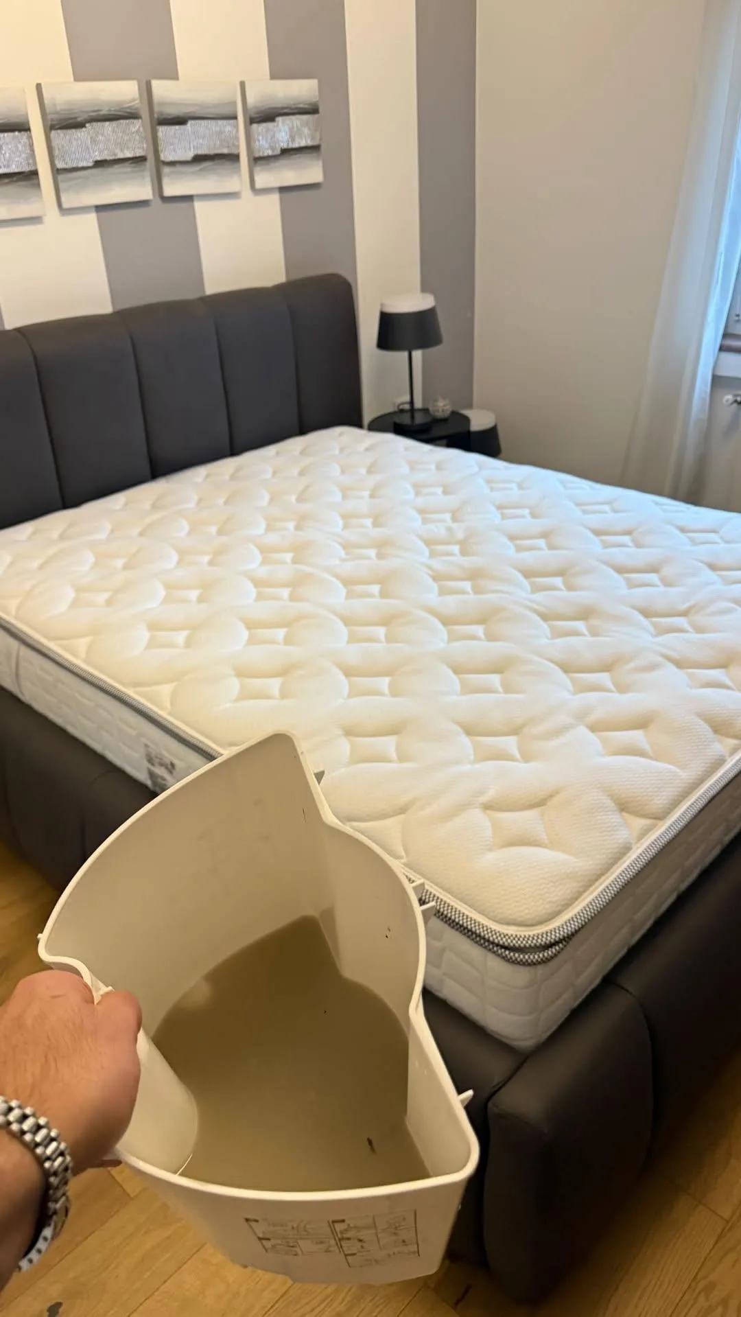 Profesionalno pranje madraca za zdrav i higijenski san