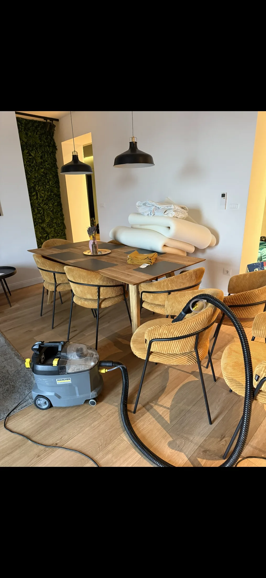 Dubinsko čišćenje tapeciranog namještaja u dnevnom boravku