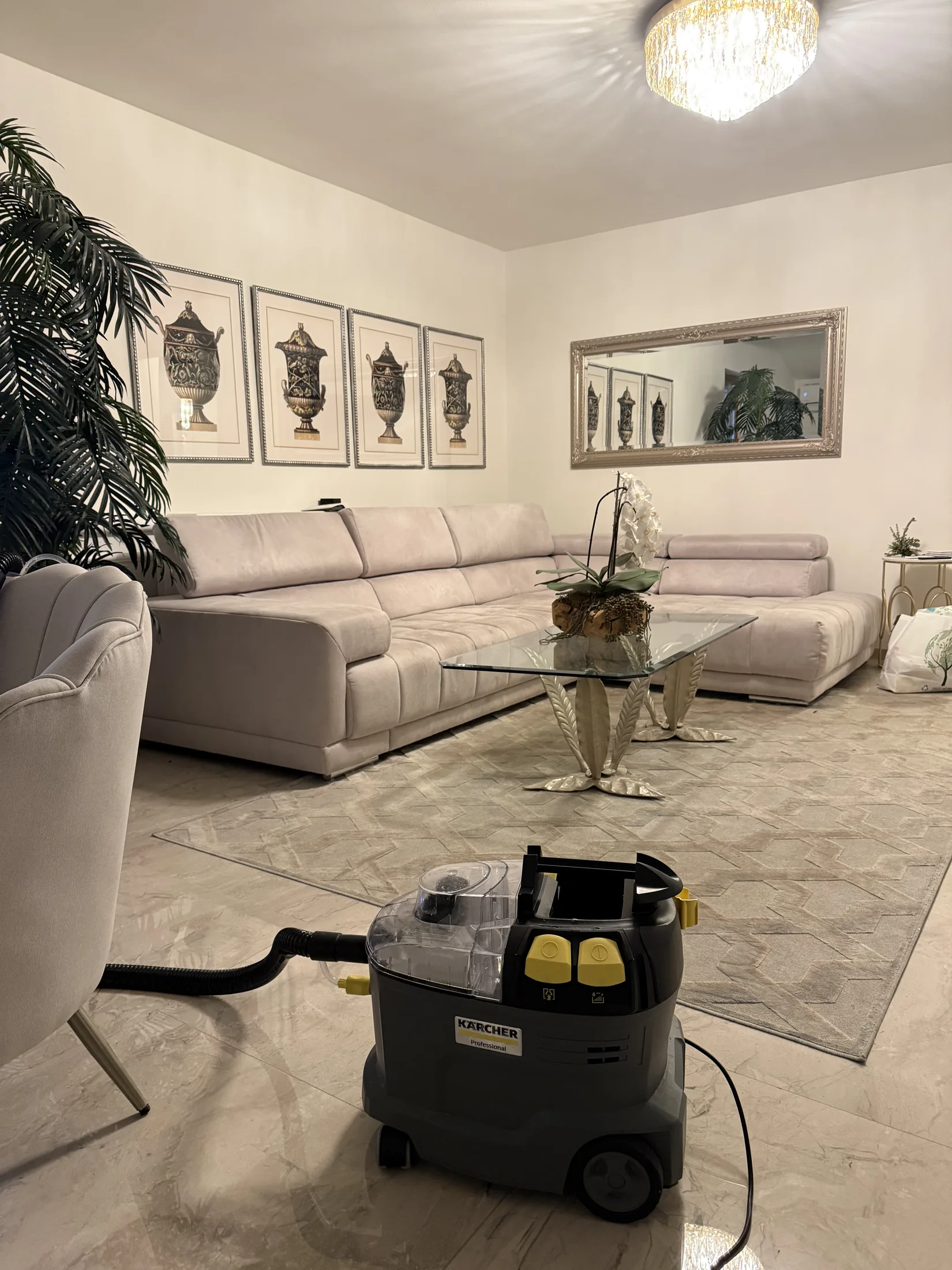 Dubinsko čišćenje tepiha – uklanjanje mrlja i nečistoća