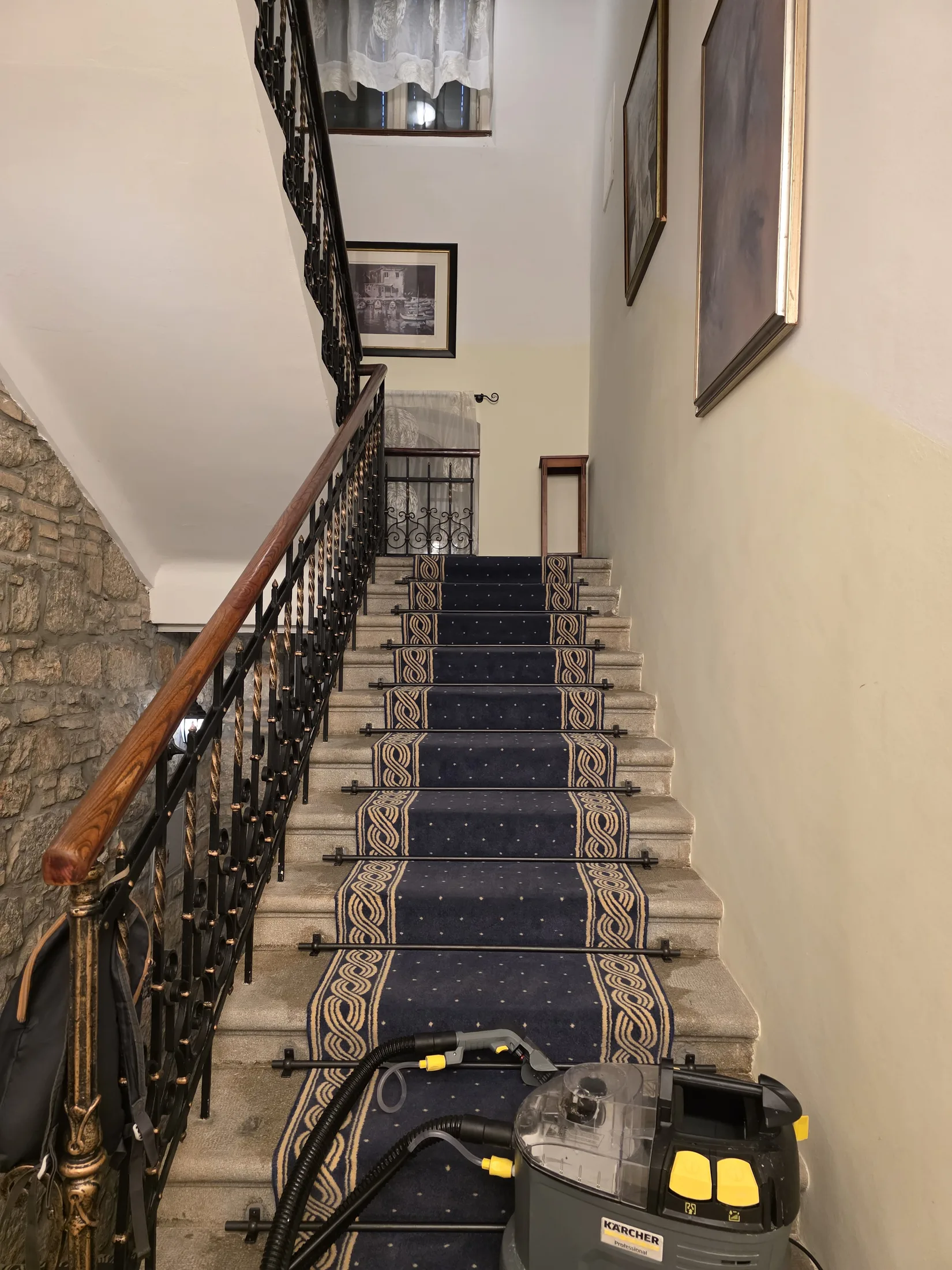 Temeljito dubinsko čišćenje tepiha protiv grinja i alergena