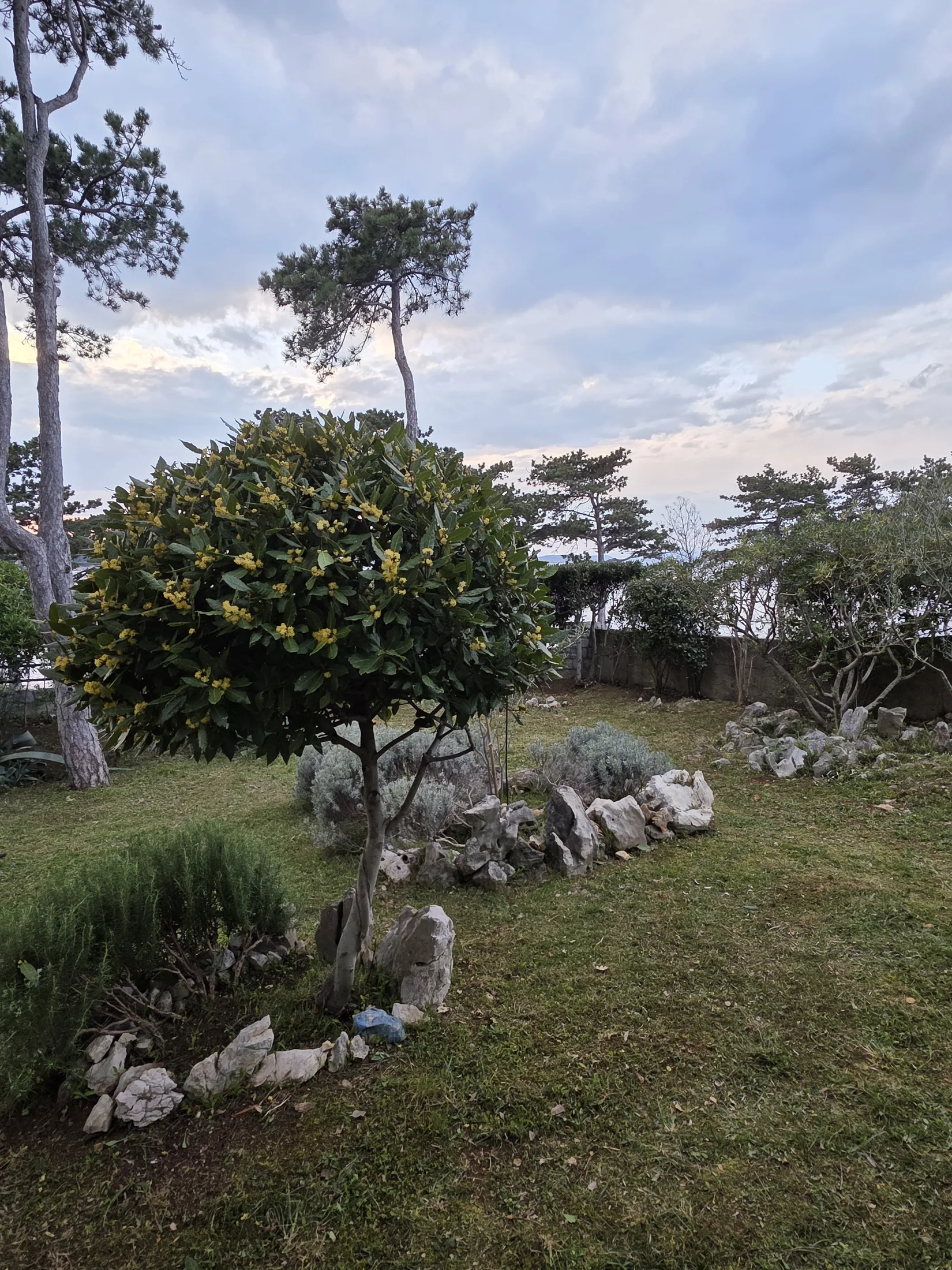 Redovno održavanje travnjaka i zelenih površina