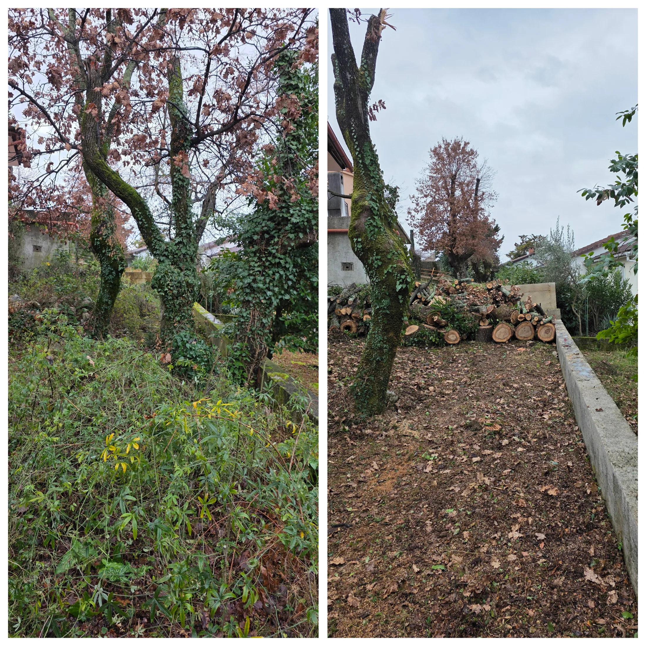 Krčenje terena i uklanjanje gustog raslinja na građevinskoj parceli