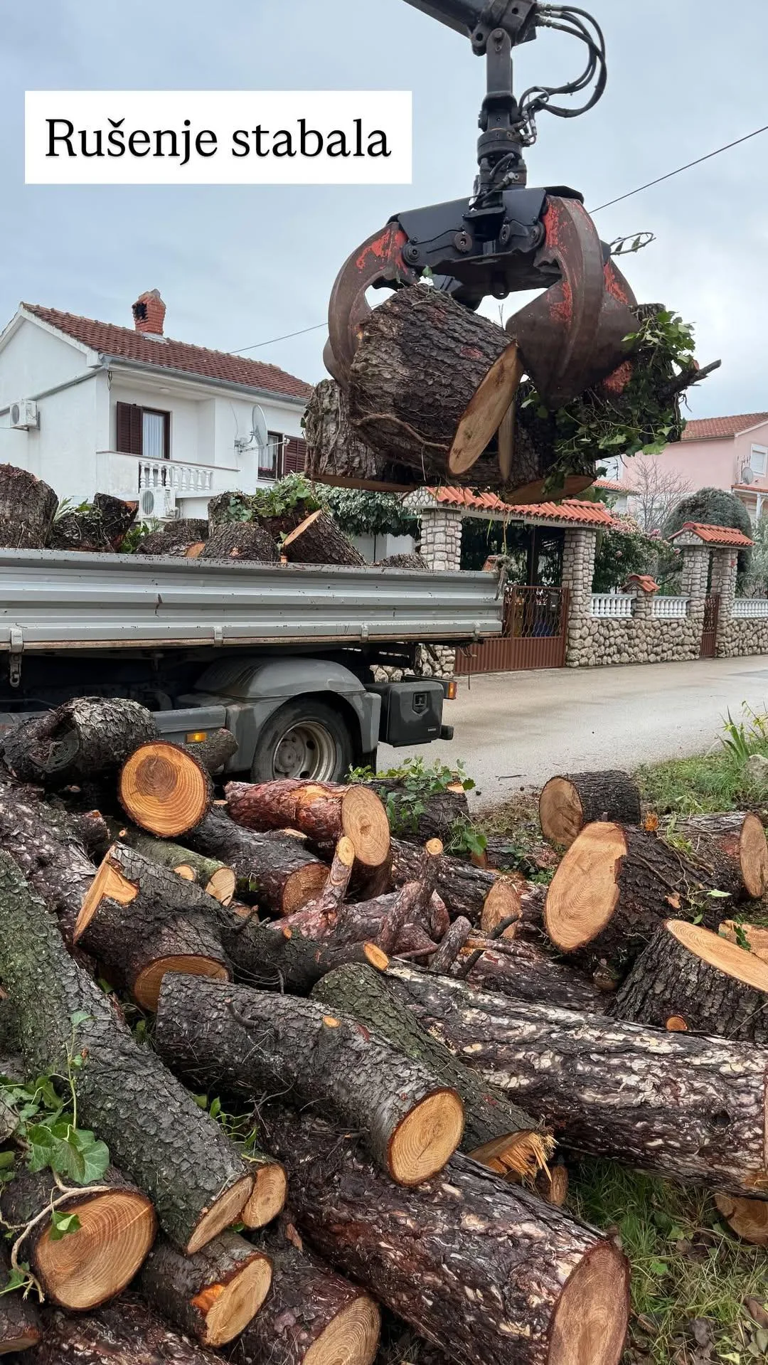 Profesionalno rušenje stabala i uklanjanje drvenog otpada