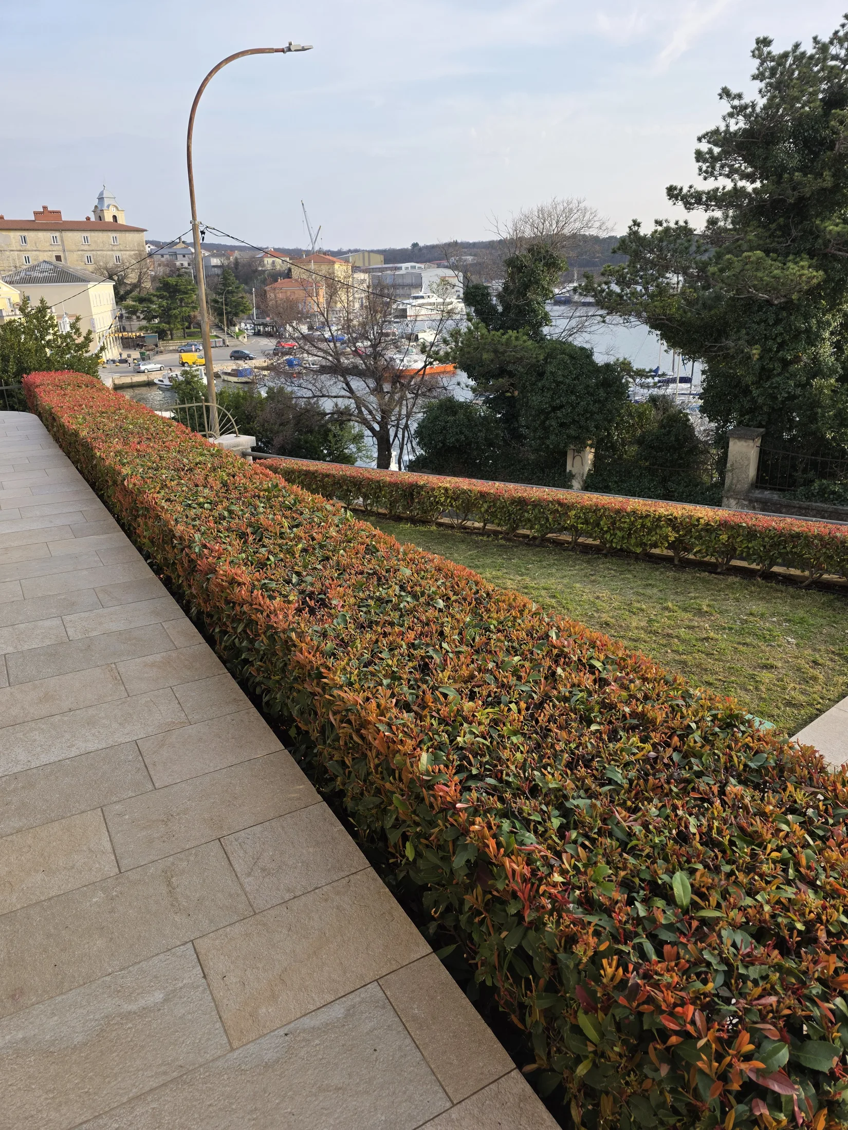 Šišanje živice u privatnom dvorištu – uredno oblikovana živica