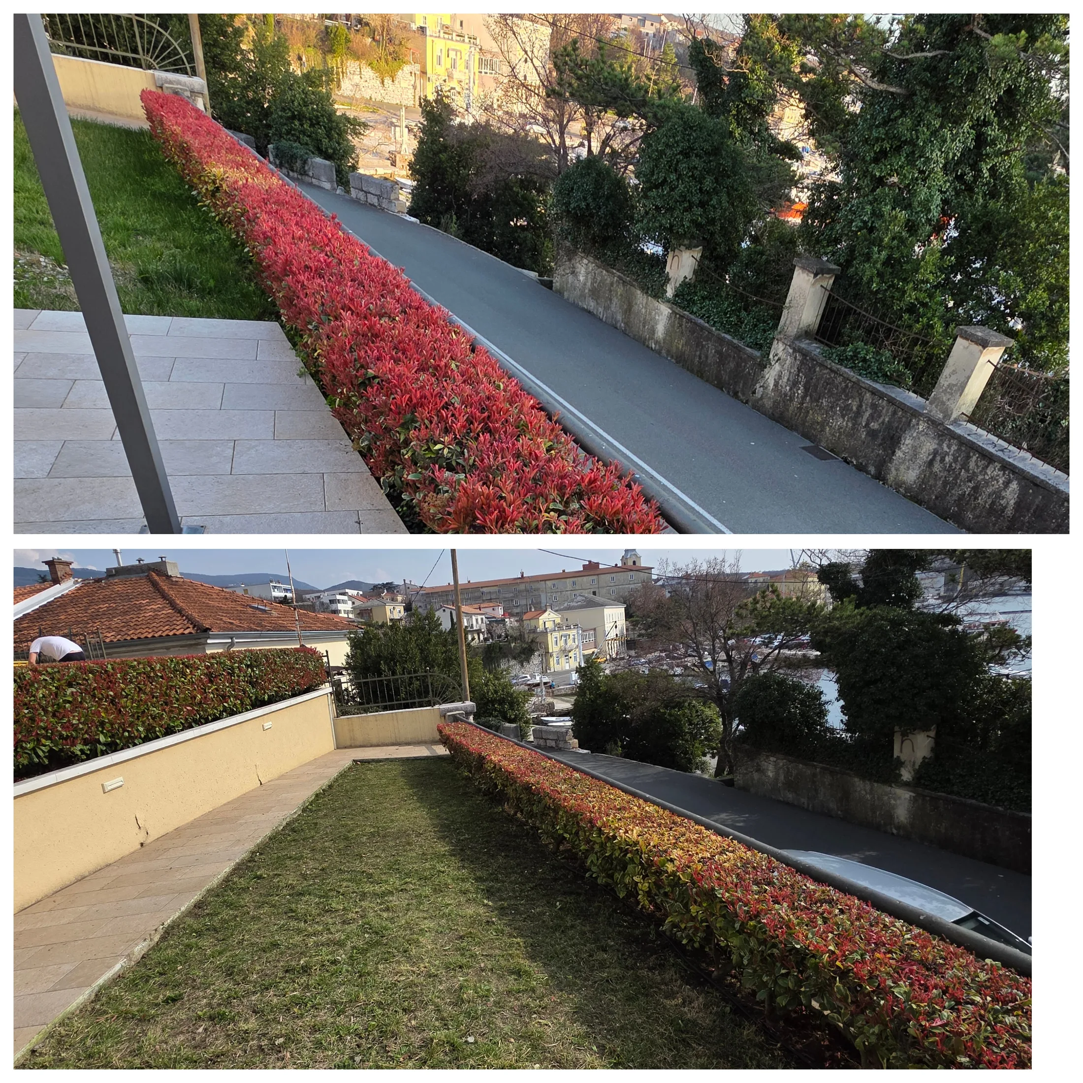 Redovno održavanje i šišanje živice za lijep izgled okućnice