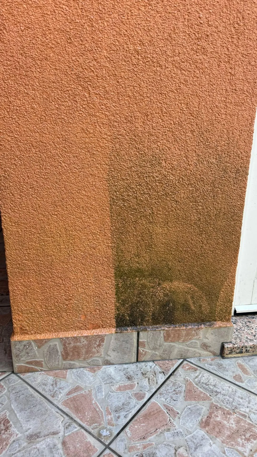 Osvježavanje fasade zgrade nakon temeljitog pranja